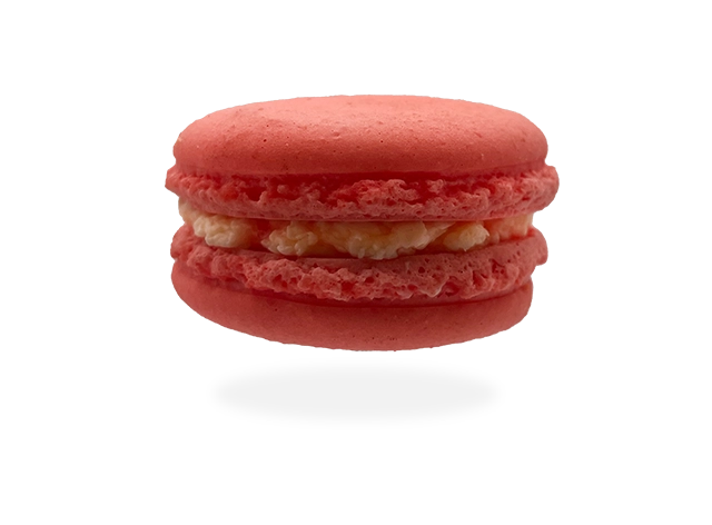 Pierre-and-Michel-Macaron-rose.webp